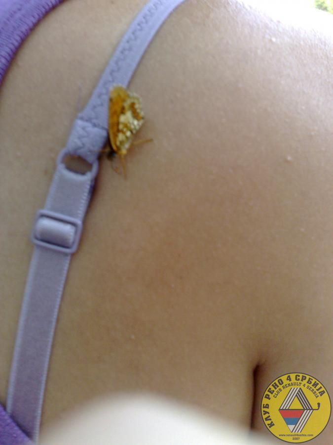 Okupljanje Gradac,Valjevo