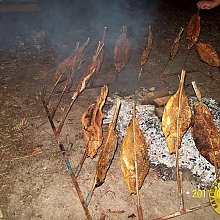 Okupljanje Hrvatska , Slavonski Brod 27.08.2011.