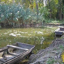 Okupljanje Sombor/ Baračka 15.10.2011.