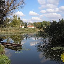 Okupljanje Sombor/ Baračka 15.10.2011.