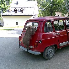 medr4 by Pasha in Klasični Renault 4